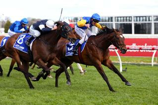 Black Heart Bart victorious on Sunday at the Group One Underwood Stakes. 